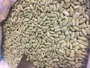 ALUBIA "VERDINA" DE ASTURIAS | 107 | Productos típicos de cantabria