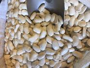 ALUBIA "BOCAO GIGANTE" | 109 | Productos típicos de cantabria