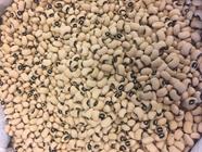 ALUBIA "CARILLA" o "OJO DE PERDIZ" | 123 | Productos típicos de cantabria