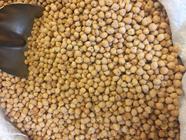 GARBANZO PEDROSILLANO | 104 | Productos típicos de cantabria