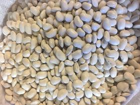 ALUBIA "DE LA GRANJA" | 125 | Productos típicos de cantabria