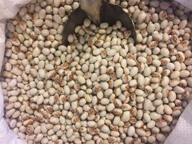 ALUBIA DE "LA VIRGEN" | 106 | Productos típicos de cantabria