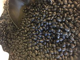 FREJOL " NEGRITOS" | 114 | Productos típicos de cantabria