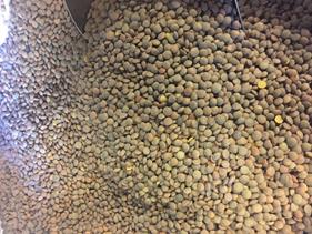 LENTEJA PARDINA | 110 | Productos típicos de cantabria