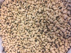 ALUBIA "CARILLA" o "OJO DE PERDIZ" | 123 | Productos típicos de cantabria